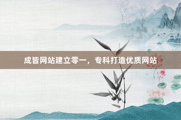 成皆网站建立零一，专科打造优质网站