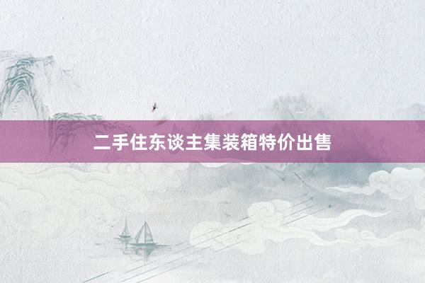 二手住东谈主集装箱特价出售