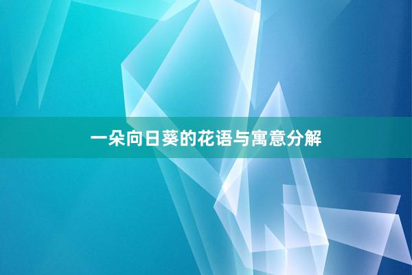 一朵向日葵的花语与寓意分解