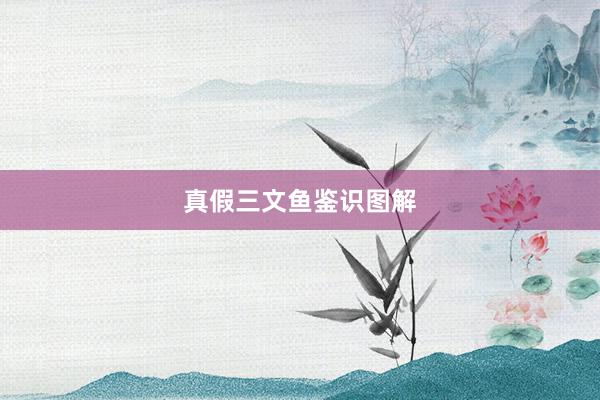 真假三文鱼鉴识图解