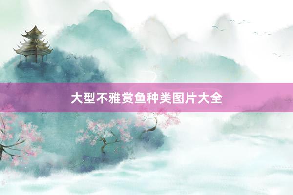 大型不雅赏鱼种类图片大全